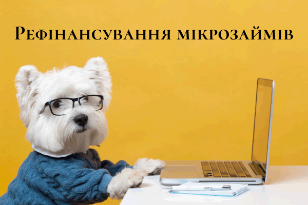 Рефінансування мікропозик